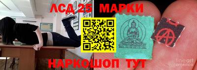 крисы Кулебаки