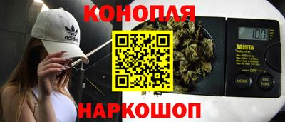 сатива Краснознаменск