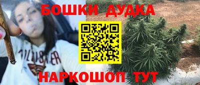 СК Краснодар
