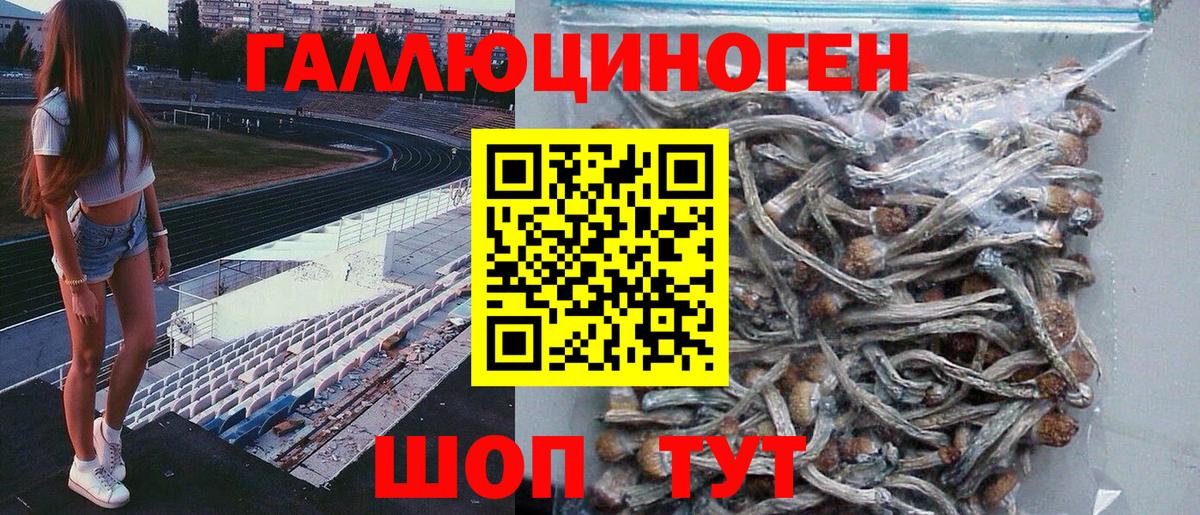 Галлюциногенные грибы ЛСД Железноводск