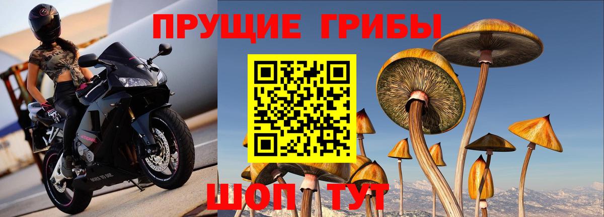 Железноводск  Псилоцибиновые грибы мухоморы  Вход с VPN 